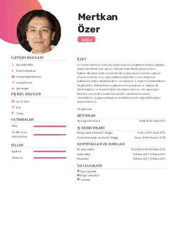 Dalgıç CV Örnekleri cv indir